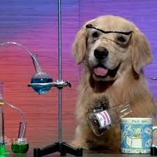 Vibe Coding Lessons